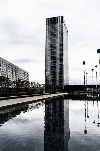 office building grayscale photography of building beside body of water city